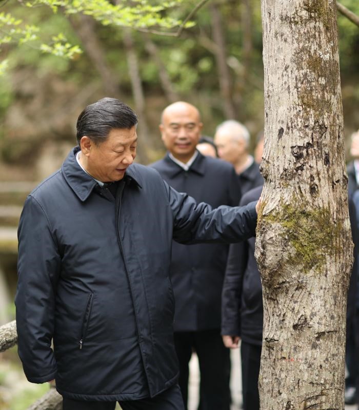 2020年4月20日，中共中央总书记、国家主席、中央军委主席习近平在陕西考察调研。这是习近平在位于商洛市柞水县的秦岭牛背梁国家级自然保护区，考察秦岭生态保护情况。 新华社记者 鞠鹏 摄