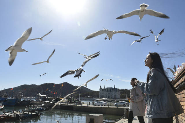 2024年4月16日，游人在大连老虎滩渔人码头游览。进入四月，北方天气转暖，辽宁大连各旅游景区游客明显增加，大连逐渐进入旅游旺季。新华社记者 鲁鹏 摄