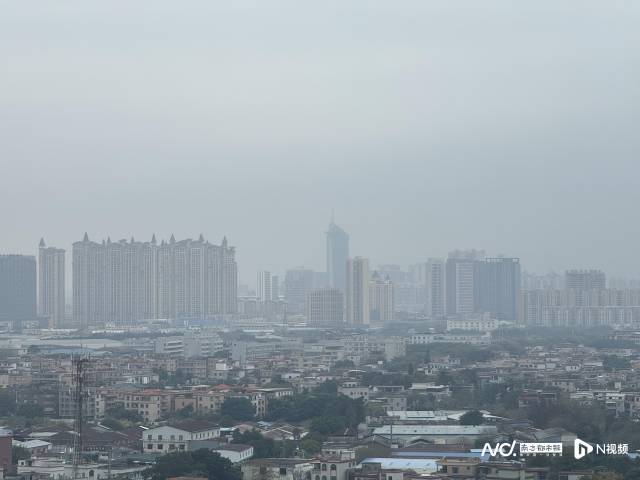 2月2日,佛山顺德乐从镇能见度较低。南都记者韦娟明摄
