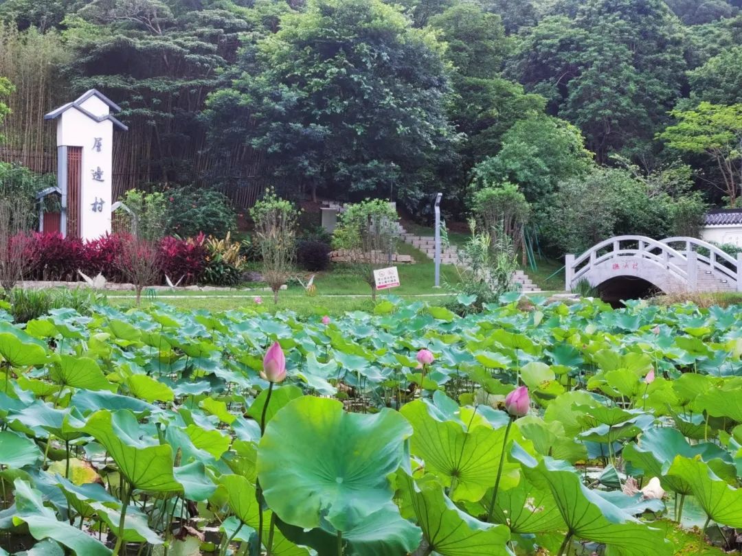 屋边村.jpg