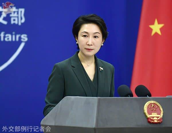 毛宁资料图。图源:外交部网站 毛宁资料图。图源:外交部网站