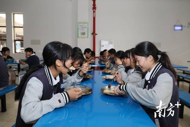 南方+资料图 南方+资料图
