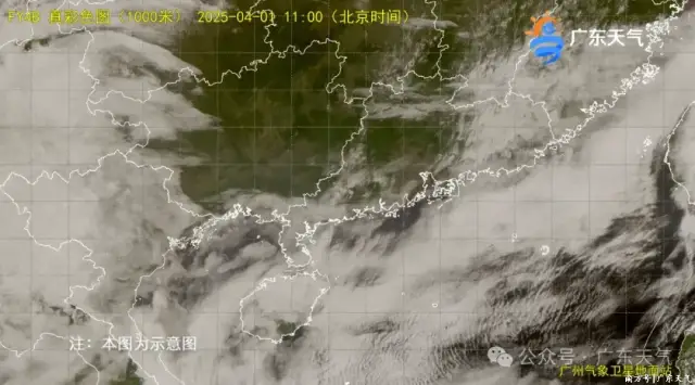 (从当前卫星云图看,我省中西部云层稀薄,阳光登场) (从当前卫星云图看,我省中西部云层稀薄,阳光登场)