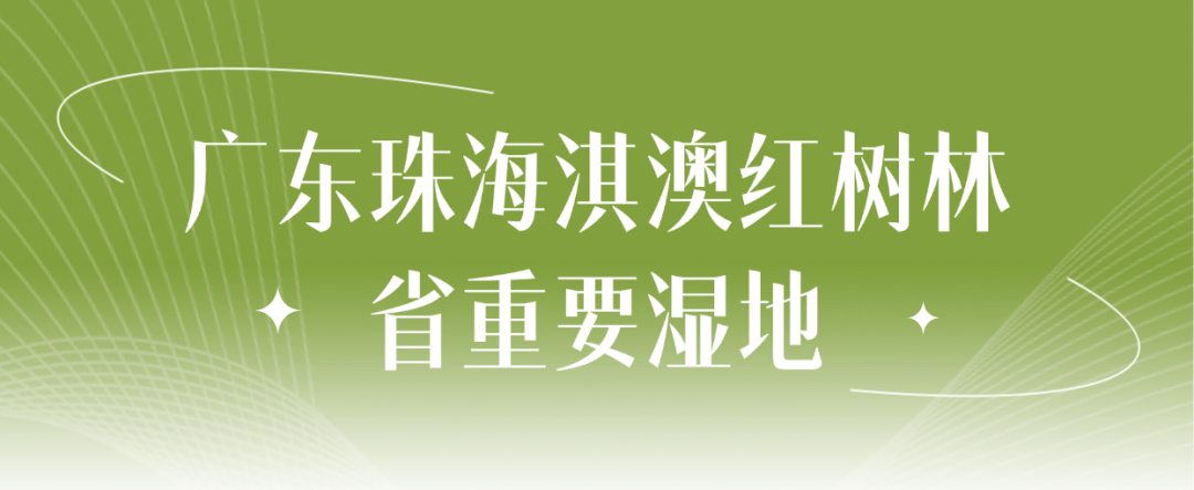 服饰箱包营销卖货直播横版贴片.png