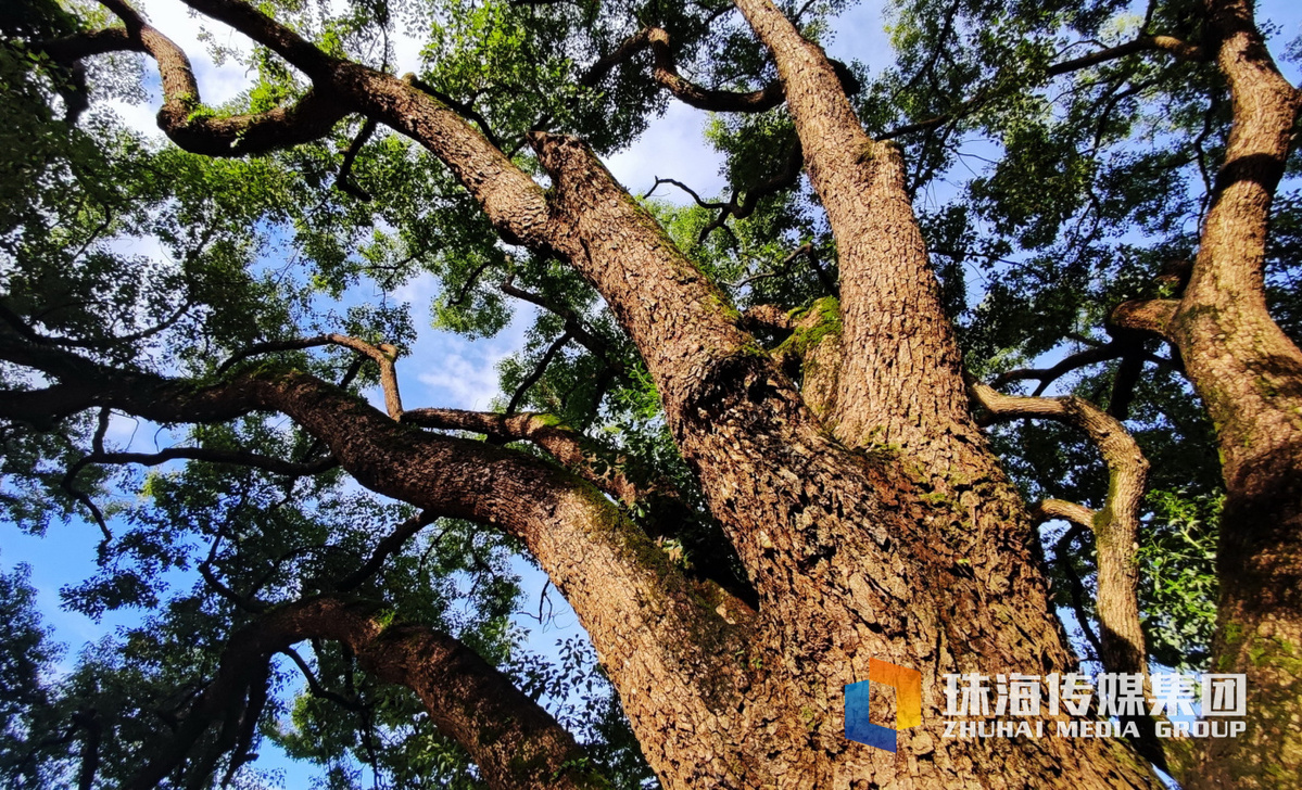 20210920会同古村。钟凡摄IMG_20210920_073747_缩小大小.jpg