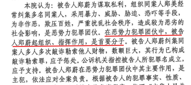 一审判决书中认定郑蔚是该恶势力犯罪团伙的首要分子。受访者供图