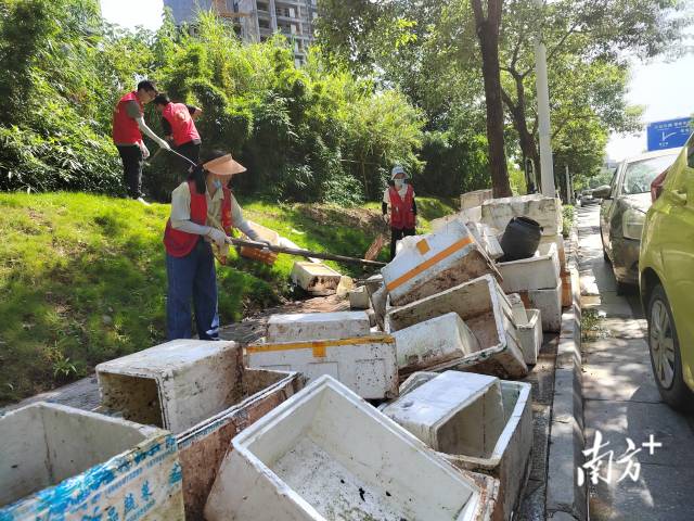 云东海高效清理脏乱菜地垃圾超200吨。受访者供图