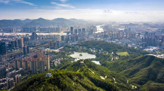 板樟山森林公园。  