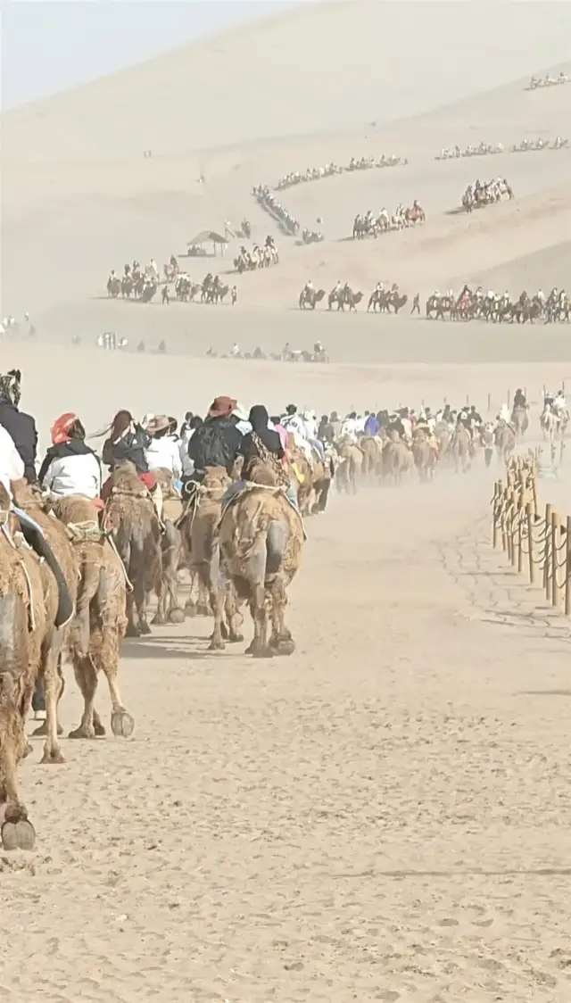 鸣沙山月牙泉景区