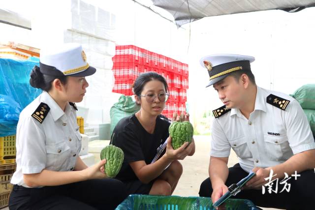 无  通讯员 无 供图