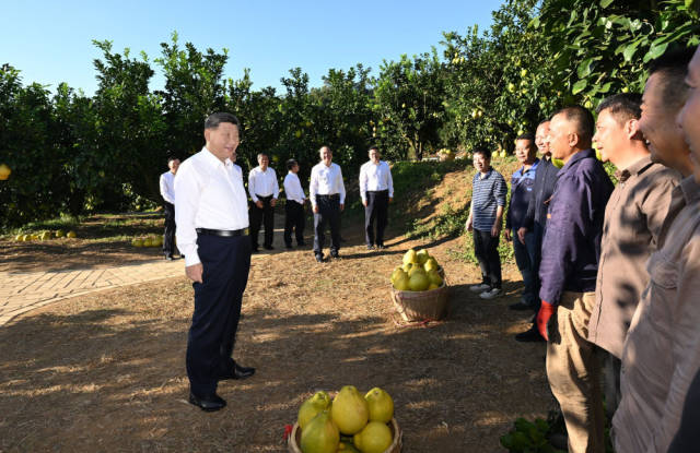 新华社记者 谢环驰 摄