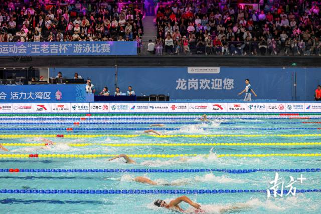 11月12日晚，十五运会游泳项目进入第3个比赛日，观众观看女子自由泳比赛。郑新洽 摄