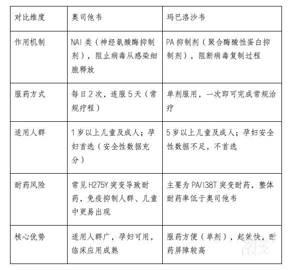 插图  南方+ 杨川,张梓望 拍摄