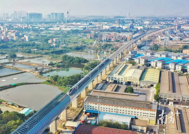 无  通讯员 无 供图