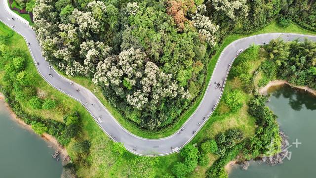 广州市黄埔区水声水库风景如画。资料图