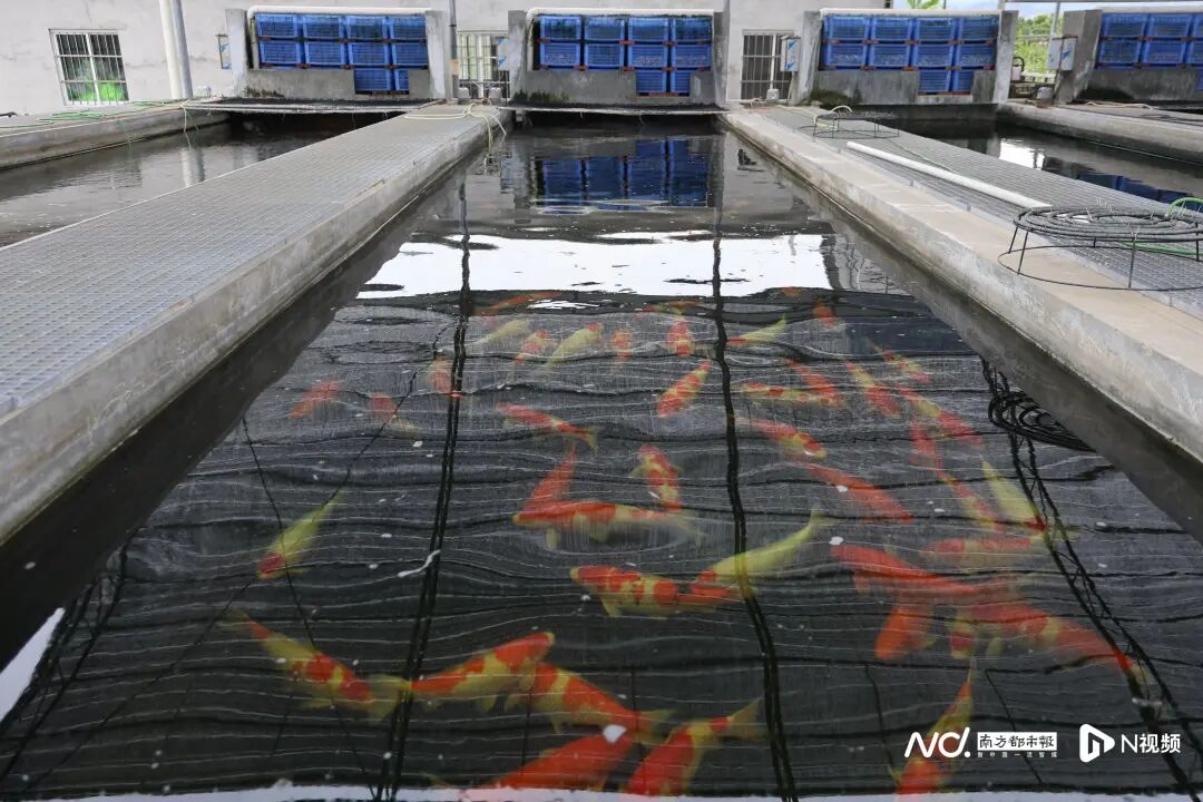 6000x4000_69296fc37cc31.JPG?X-Amz-Conten