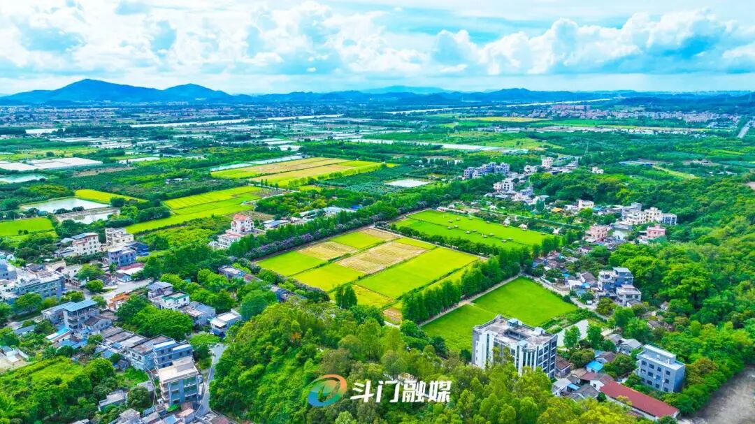 DJI_0499_副本.jpg