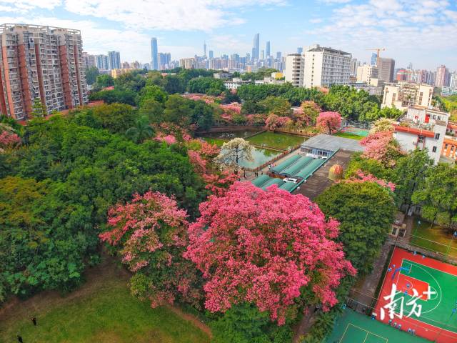 华南师范大学石牌校园