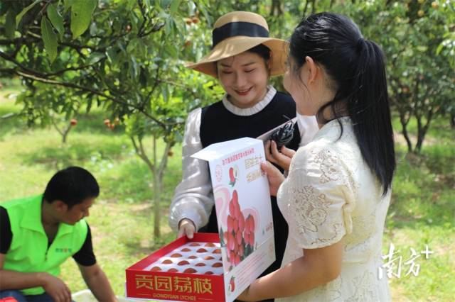 南方+ 刘栋铭 拍摄