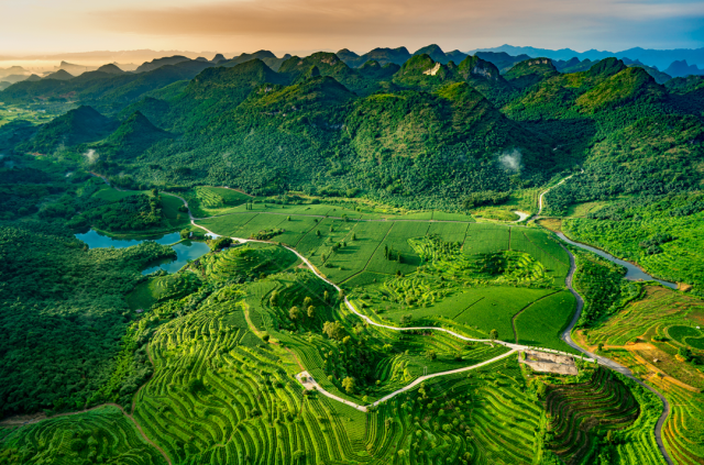 英德红茶品牌价值登顶全国红茶类榜首。