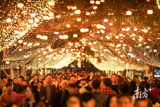 “剧透”美照抢先看！2026惠州西湖新春灯会试亮灯