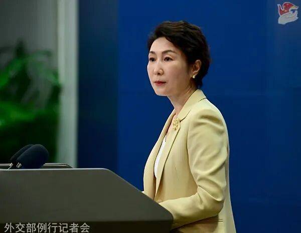 毛宁 资料图。图源：外交部网站