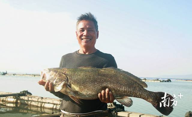 农发行广东省分行助力海产养殖。