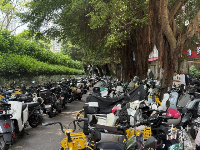 人行道两旁停放大量电动车