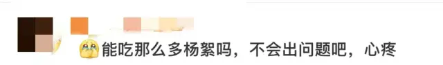 网友评论