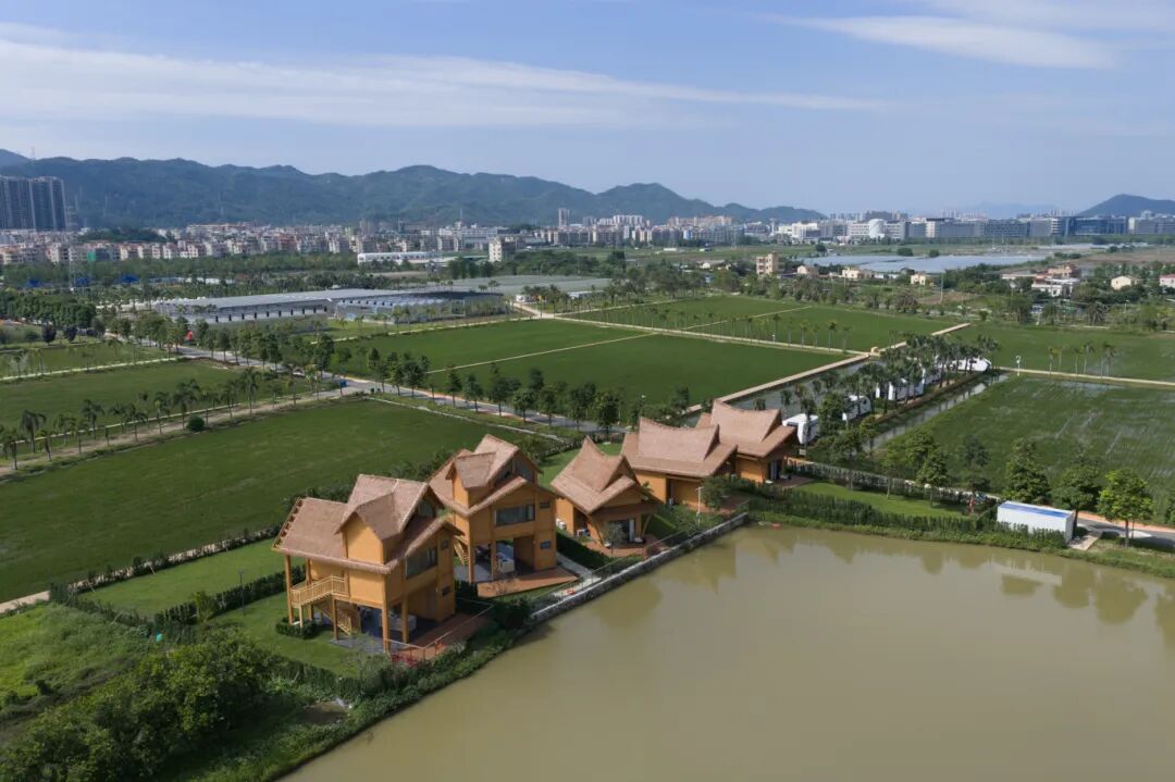 DJI_20260430145554_0279_D.jpg