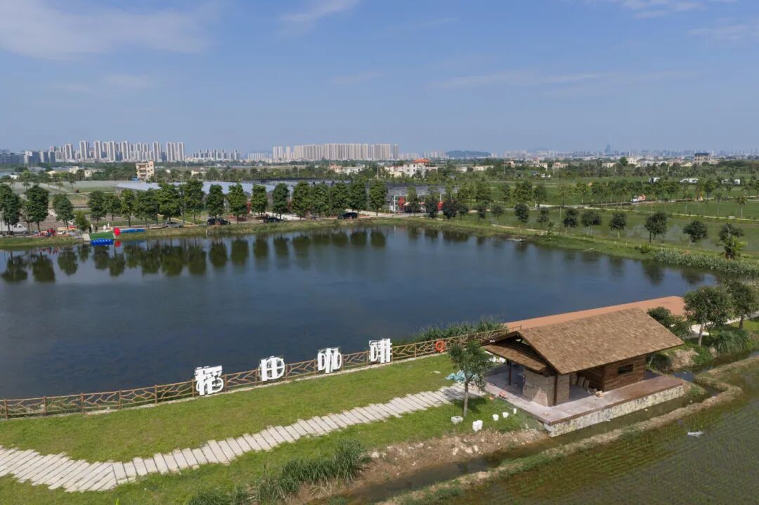 DJI_20260430145325_0271_D.jpg