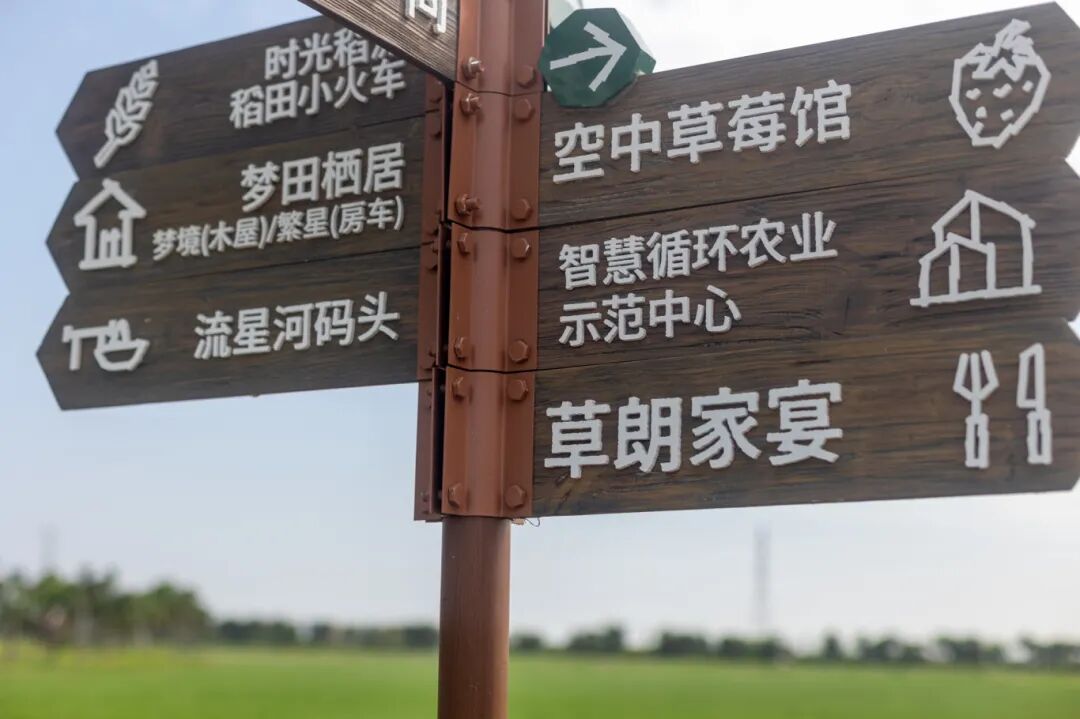 LGX_6551.jpg