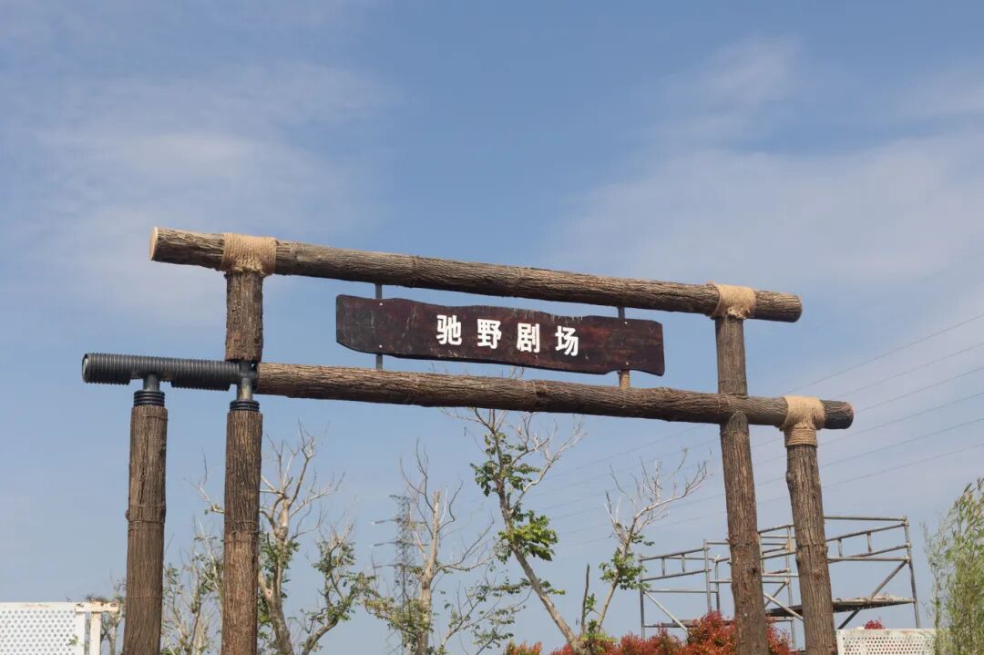 LGX_6526.jpg
