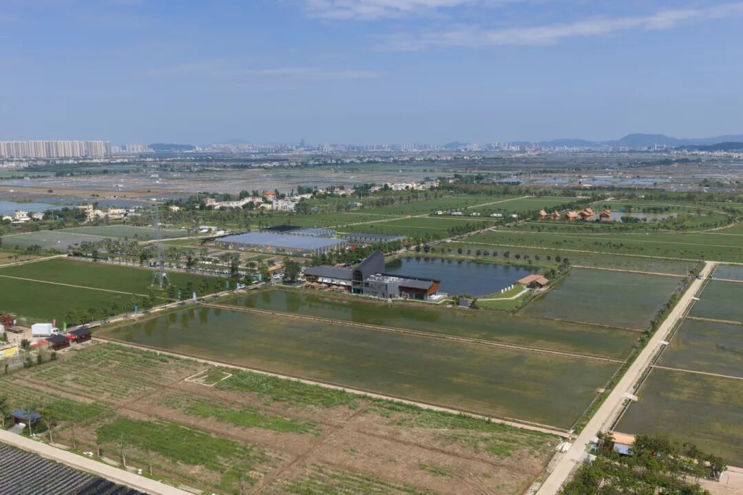 DJI_20260430145148_0262_D.jpg