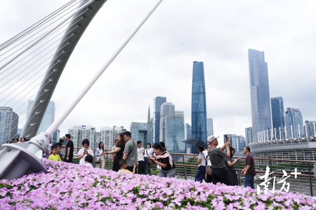 五一期间，游客在广州地标“小蛮腰”一带游玩。南方+记者 王俊涛 摄