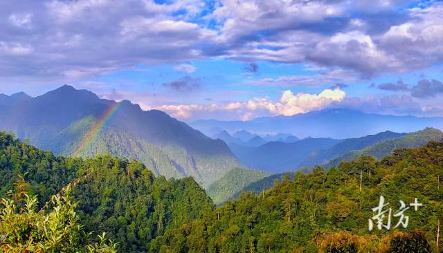 广东南岭国家级自然保护区九重山。