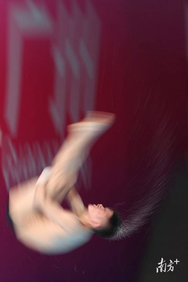 王飞龙