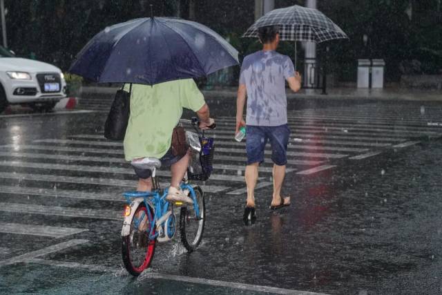 图/广州日报新花城记者：吴子良