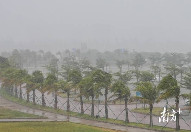 受台风“美莎克”影响，湛江徐闻风雨交加。