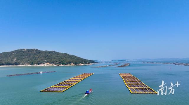 饶平海洋牧场风光。黄品 摄