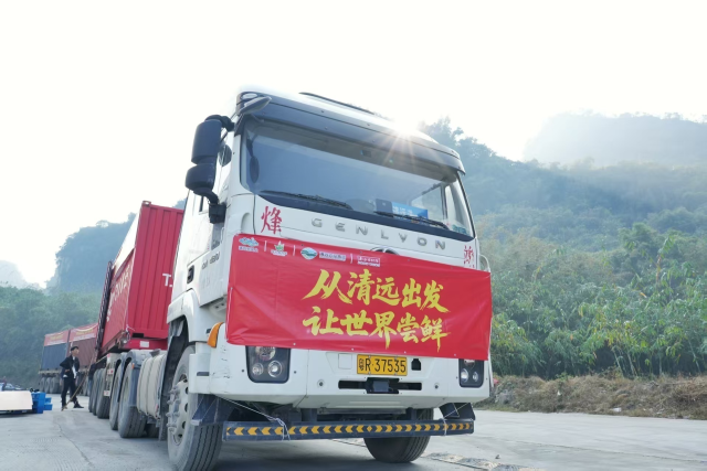 2026年1至7月，清远市出口麻竹笋及其制品达3560.3吨，同比增长28.2%，主要输往越南、卡塔尔、泰国、美国等十多个国家和地区。